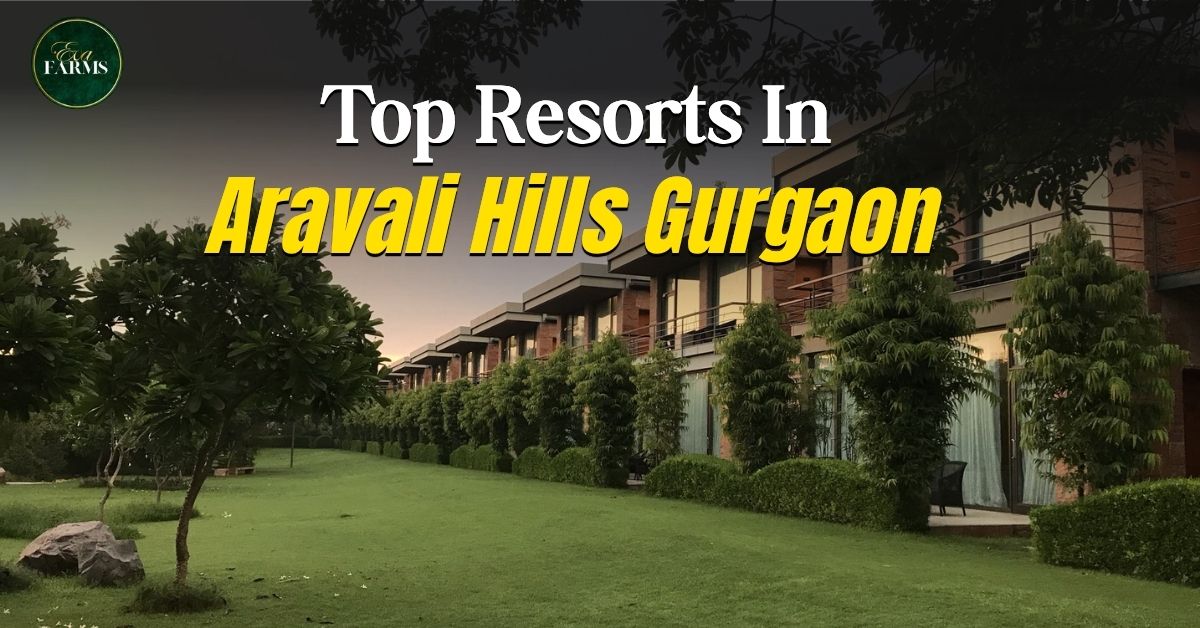Top 10 Luxury Resorts in Aravali Hills, Gurgaon (2026) | Eva Farms