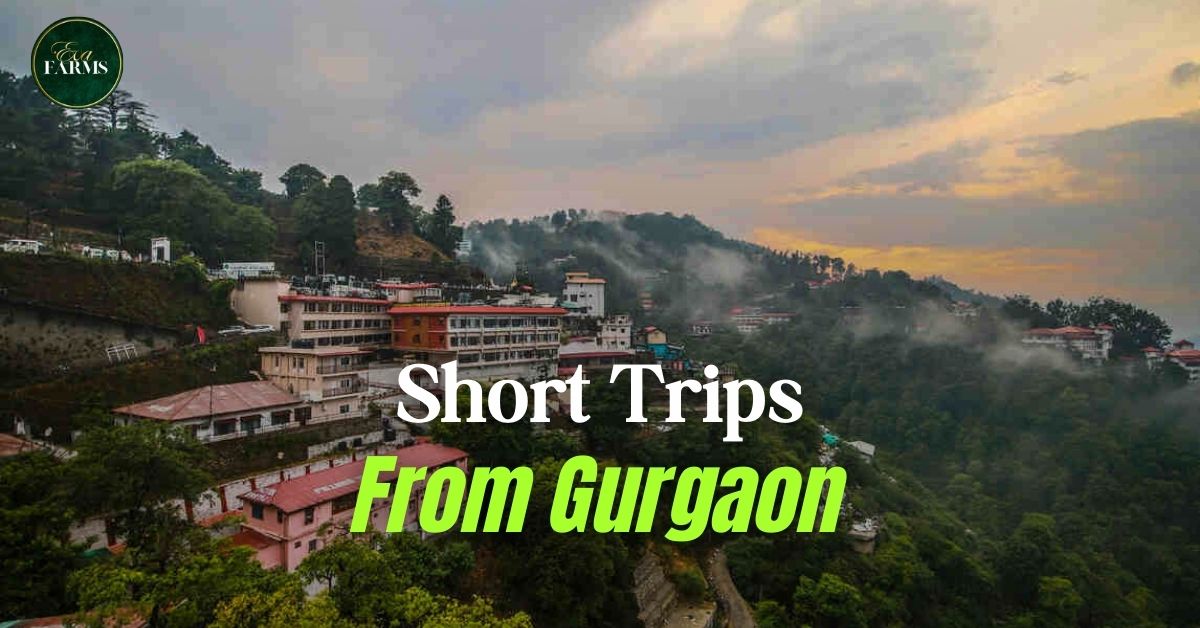 14 Best Short Trips from Gurgaon (2026) | Eva Farms