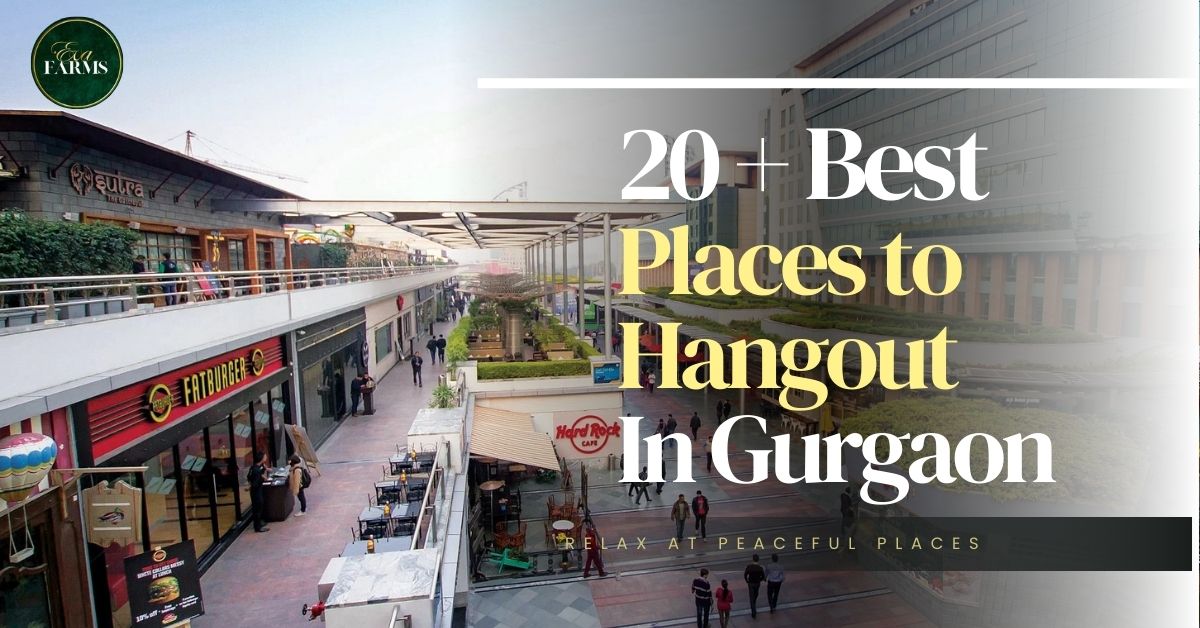 20+ Best Places to Hangout in Gurgaon | Eva Farms
