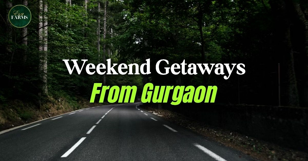 25+ Best Weekend Getaways from Gurgaon (2026) | Eva Farms