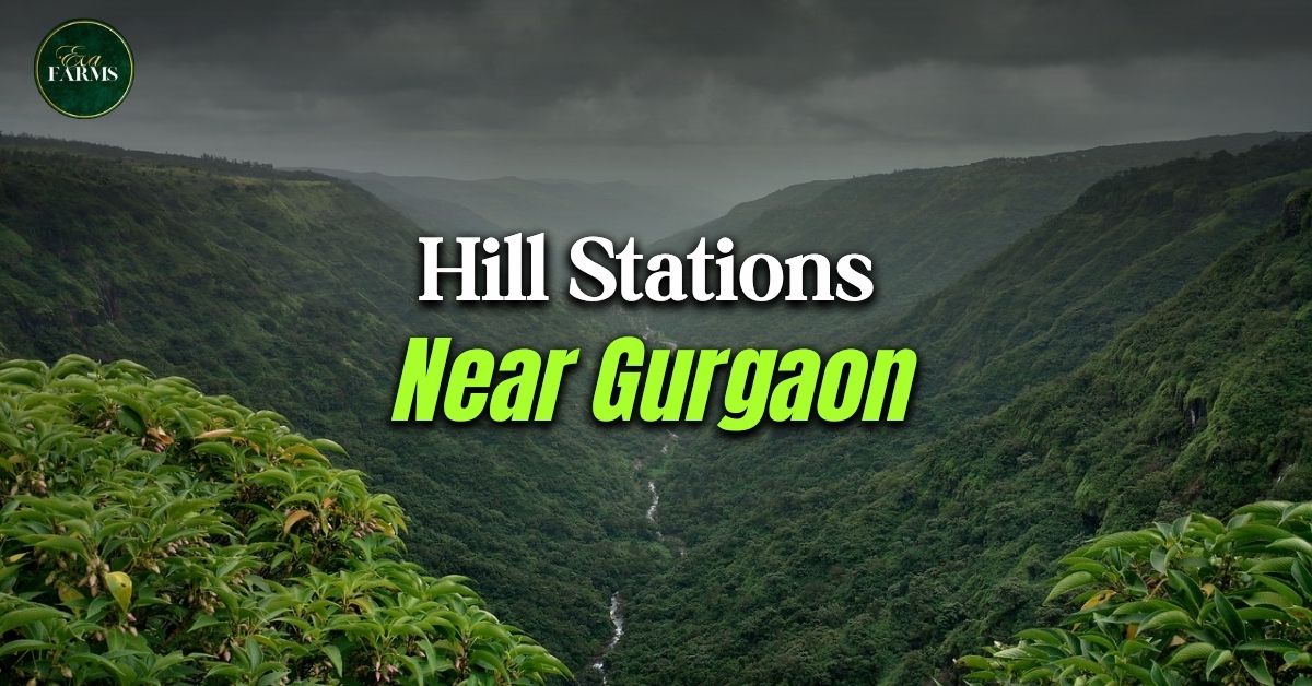 20 Best Hill Stations Near Gurgaon (2026) | Eva Farms