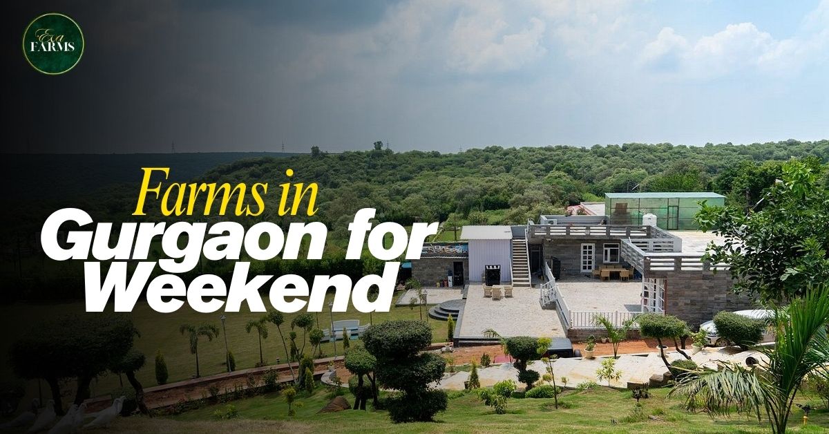Top 15 Farms in Gurgaon for Weekend Parties &amp; Night Stay